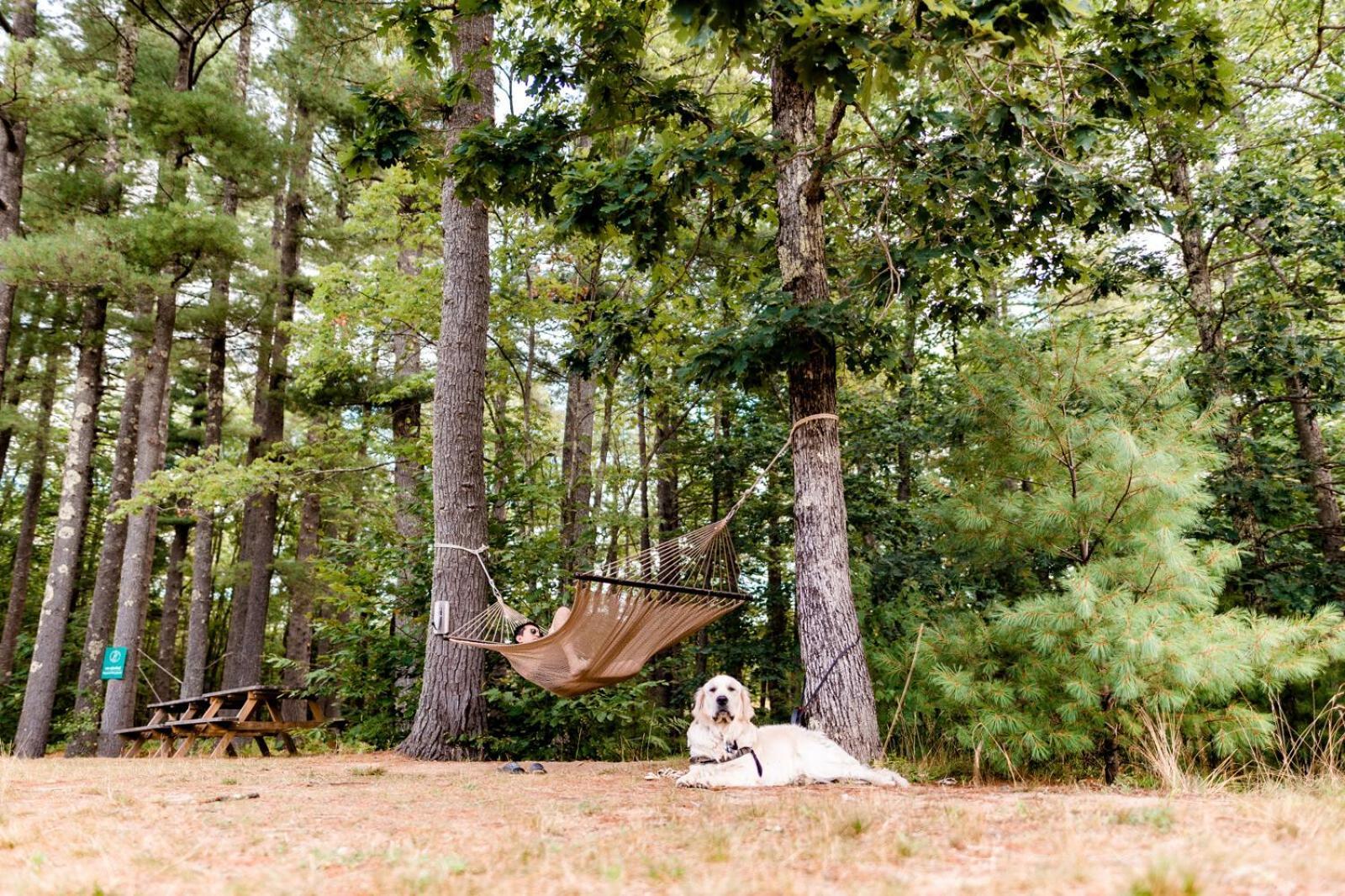 Huttopia Southern Maine Sanford Extérieur photo